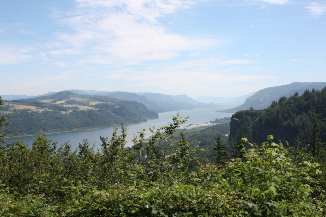 Windsurfers and kiteboarders on the Columbia River near Hood River Oregon