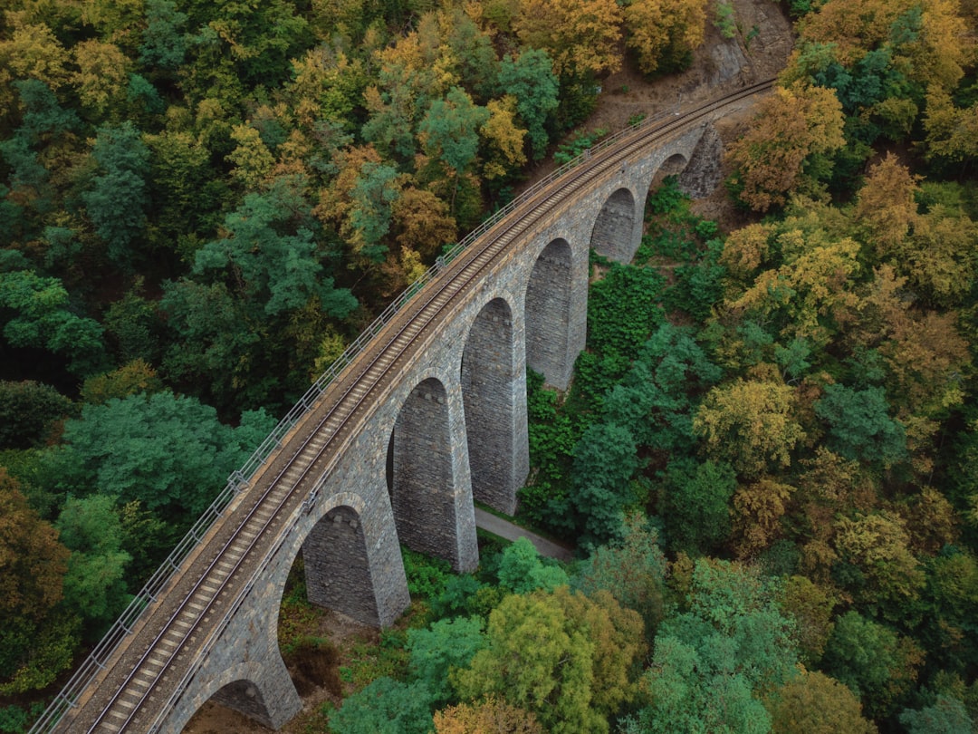 A stone arch bridge spanning a forested valley