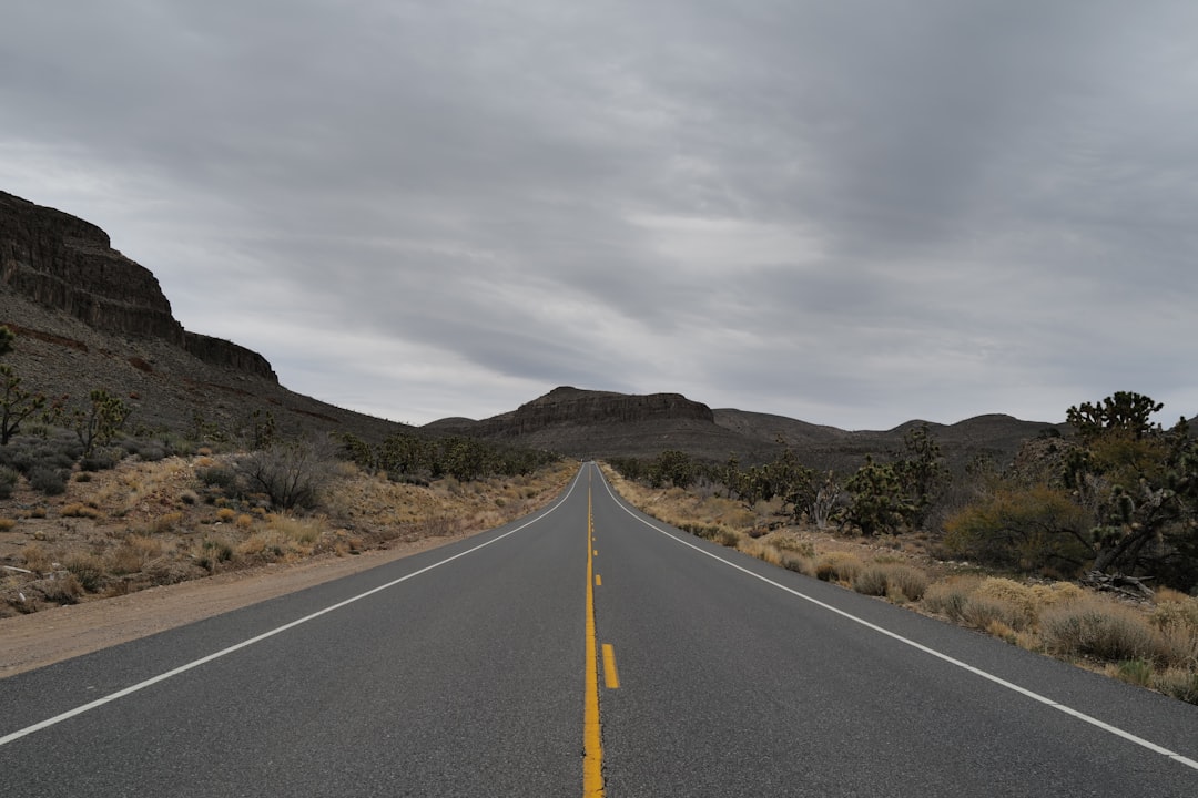 A long desert highway stretching toward distant mesas in the American Southwest