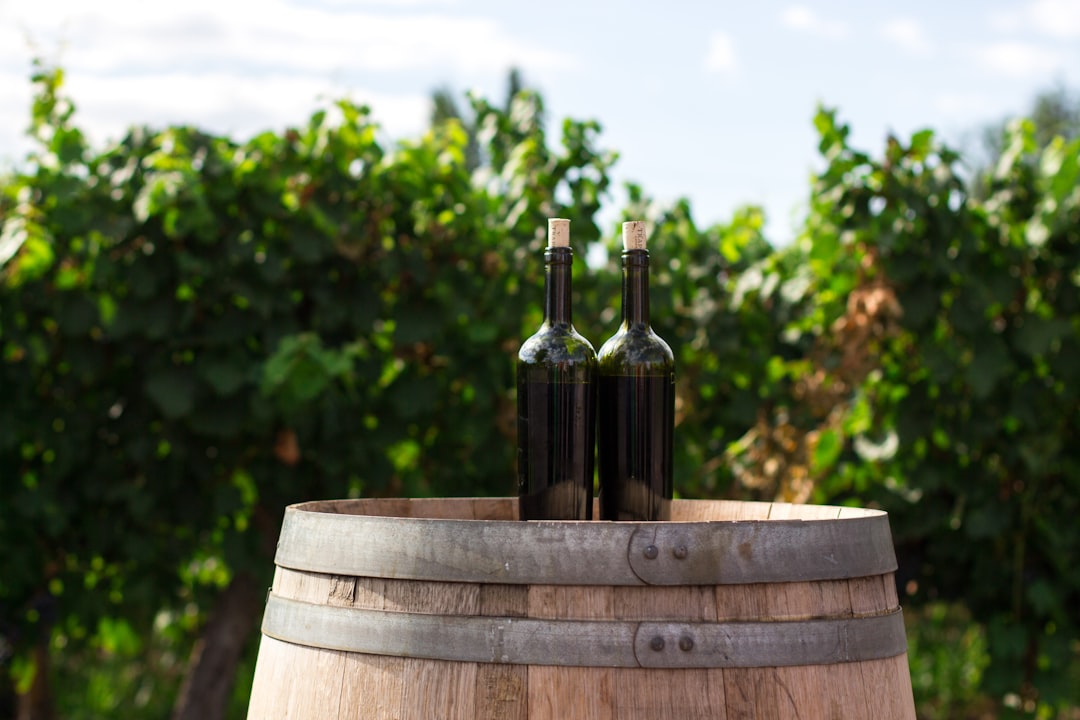 Wine bottles aging in oak barrels in a cellar