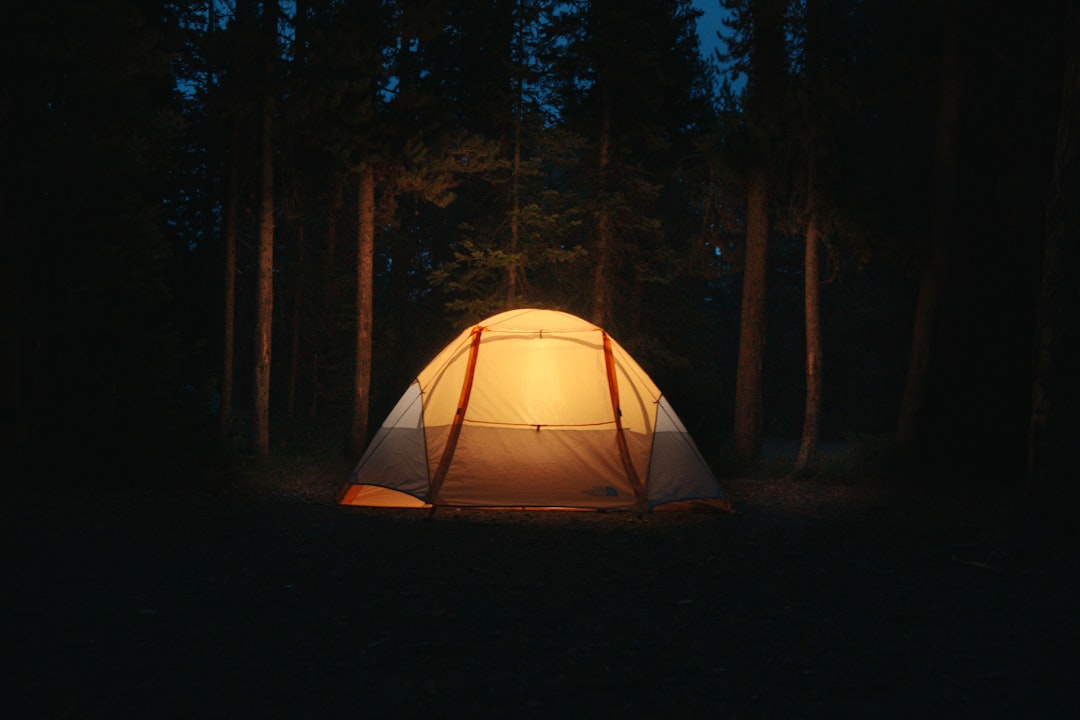Camp tent set up in a forest clearing at dusk