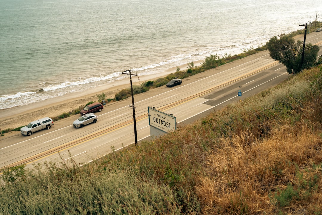 Coastal highway curving along the shore with palms and water views