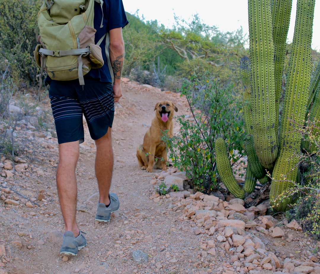 Hiker and dog walking a desert trail together