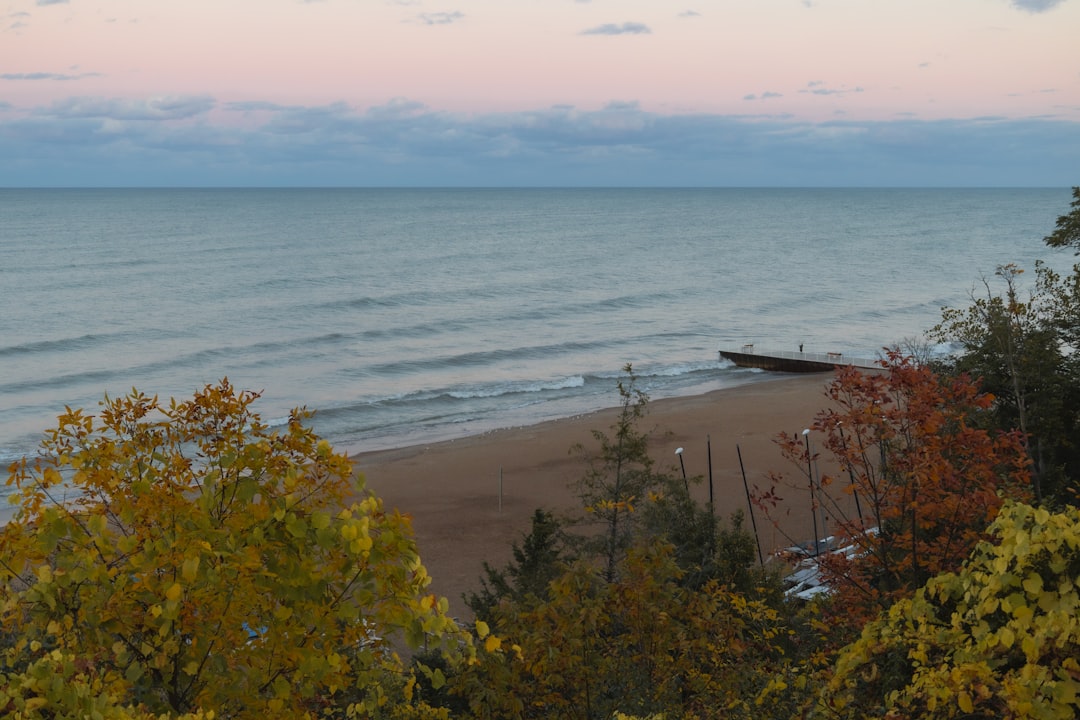 Fall foliage along a scenic lake coastline in early September
