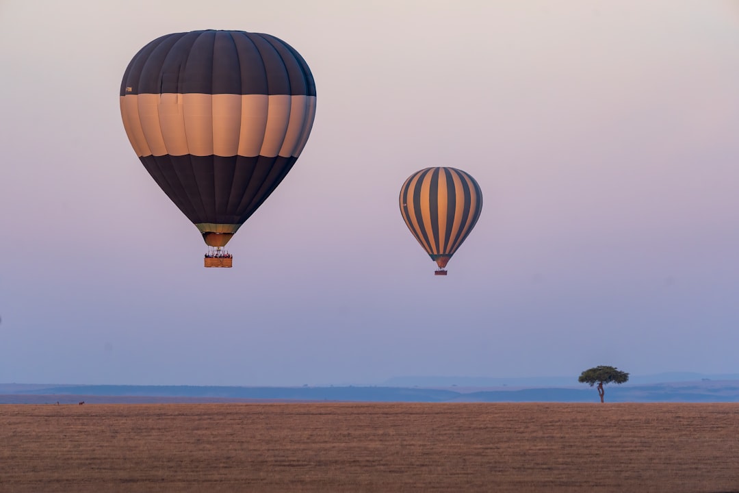 Hot air balloons in flight over an open field
