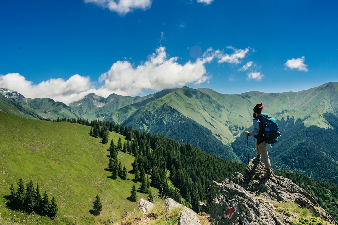 Scenic hiking trail with mountain views