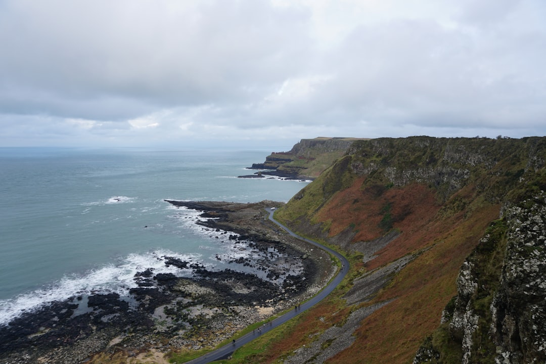 Coastal road winding along cliffs lined with reddish autumn foliage