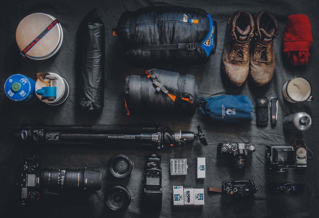 Organized car camping gear in the back of an SUV