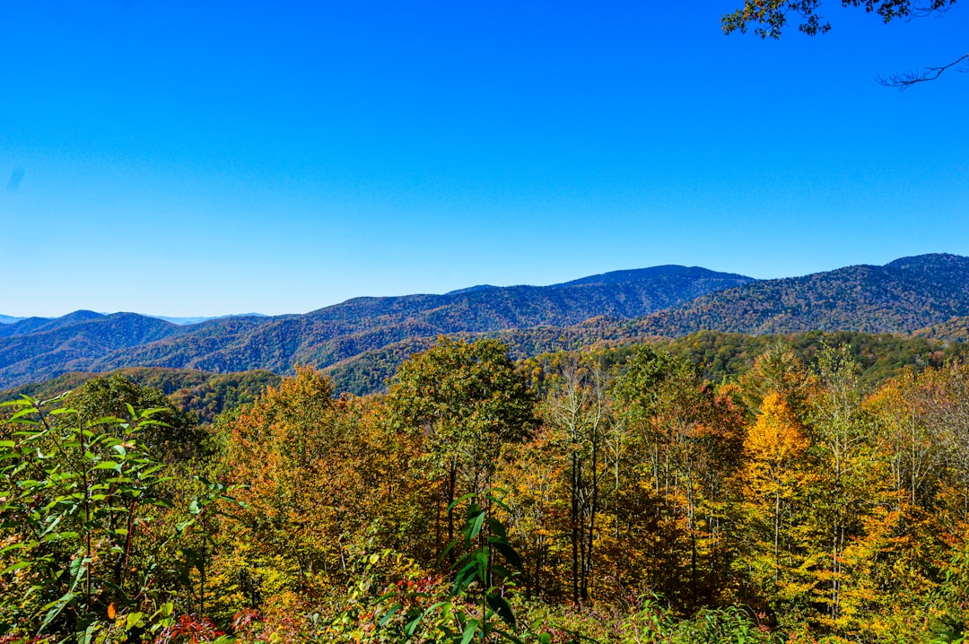 Scenic mountain valley with fall colors approaching