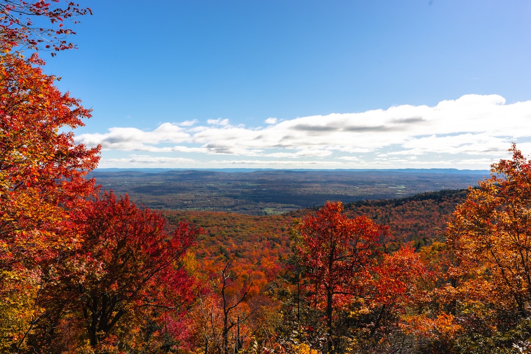 Scenic fall foliage drive through New York countryside