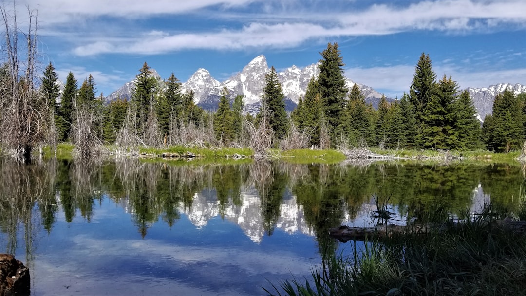 The Teton Range reflected in the still water at Schwabacher Landing