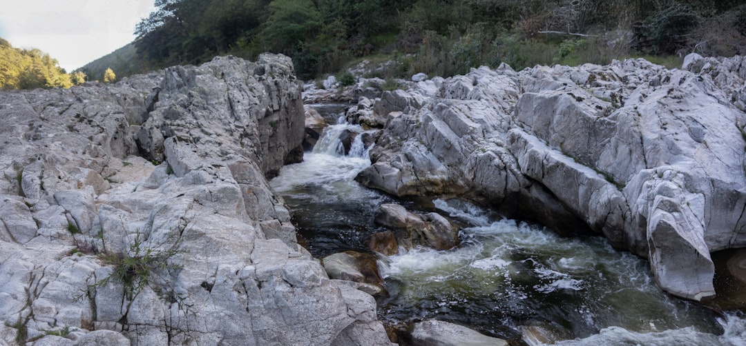 Mountain stream flowing over rocks in forest