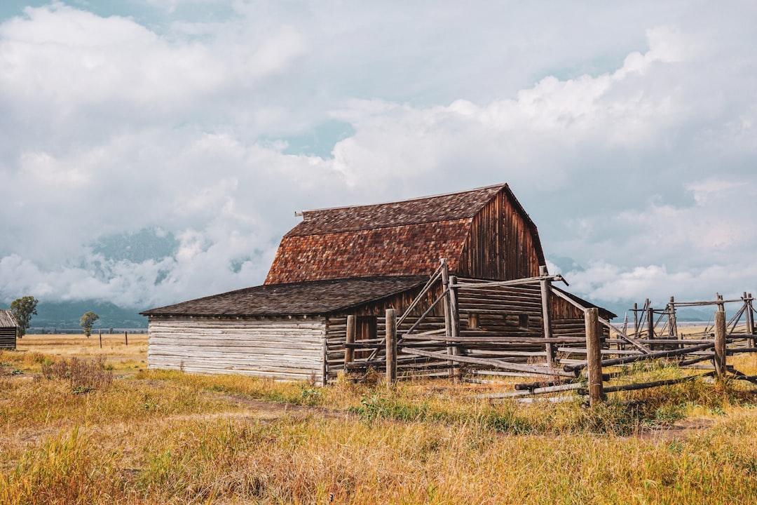The historic Moulton Barn on Mormon Row with autumn light