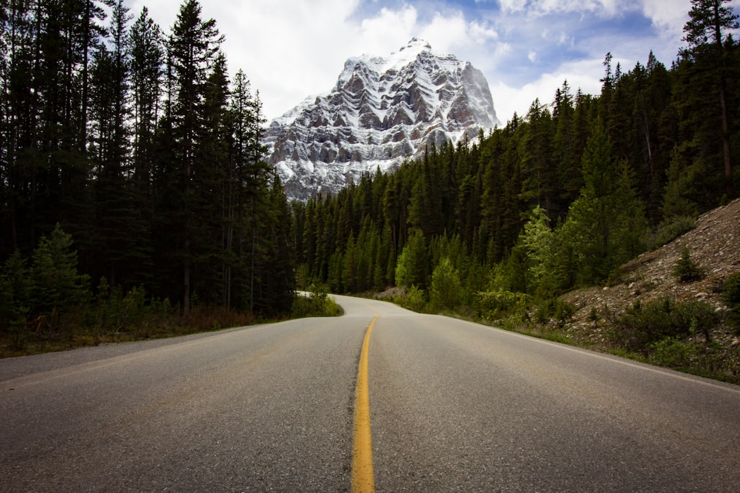 Scenic mountain highway winding through the San Juan Mountains of Colorado