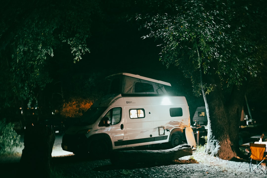 White campervan parked under trees at night with warm interior lights glowing