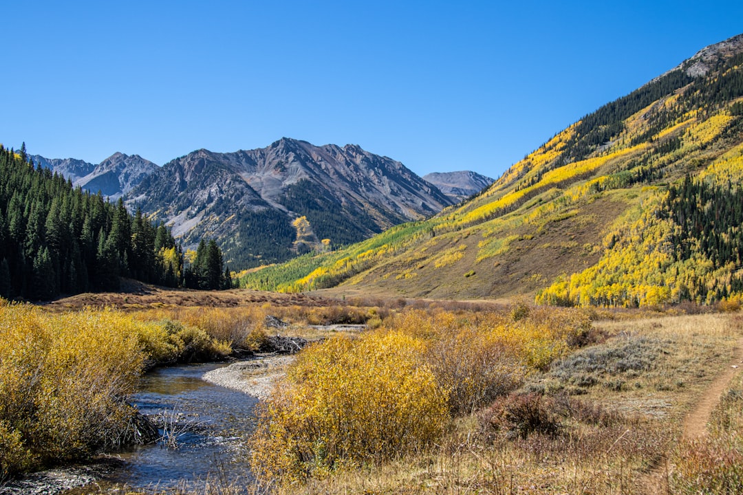 Golden aspens lining an alpine creek