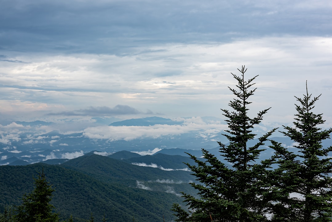 Overlook view from Clingmans Dome in the Smokies