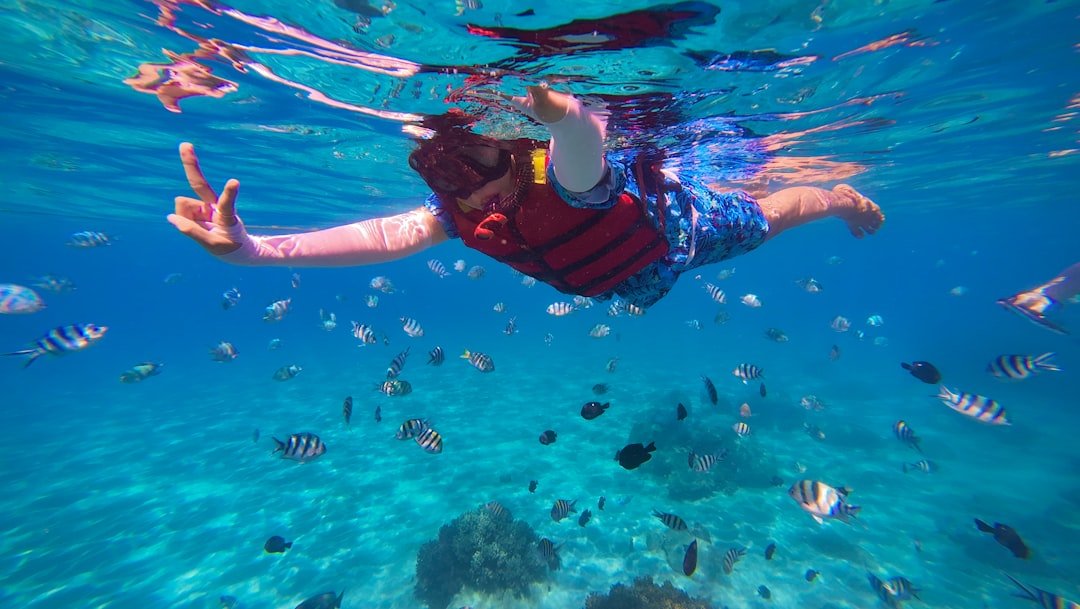 Snorkeler swimming with schools of tropical fish in clear water