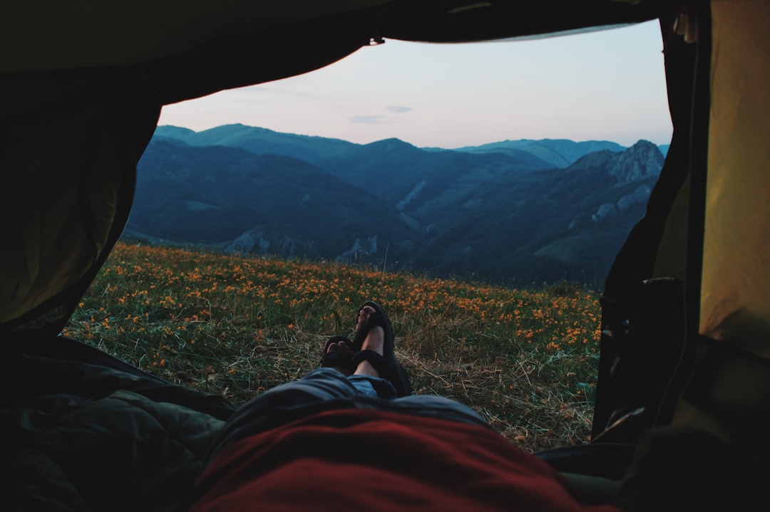 Camping tent in mountain forest setting