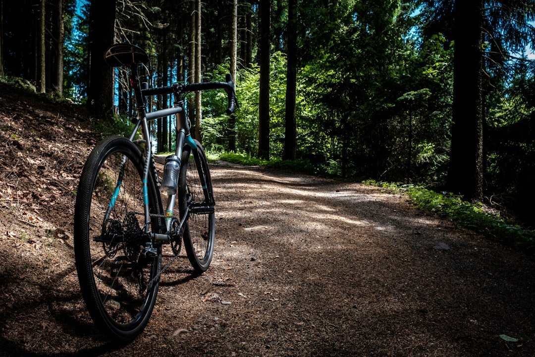 A bicycle resting on a crushed-stone carriage road through autumn forest