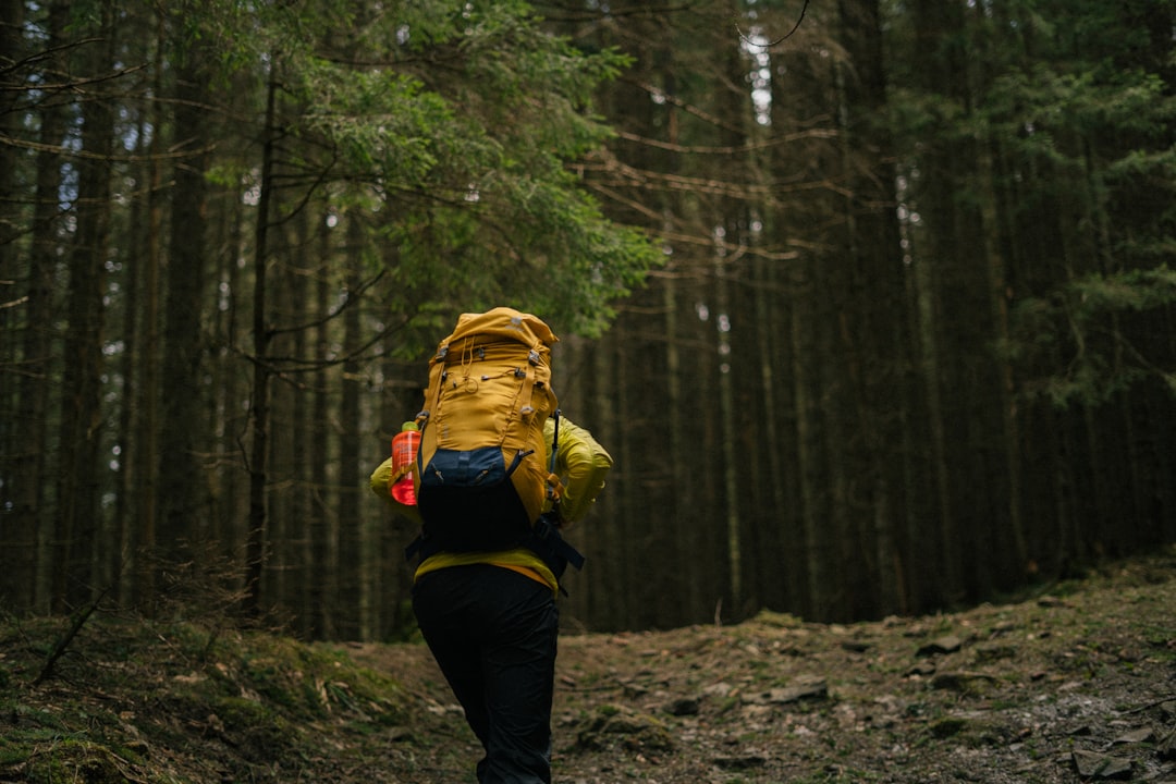 A hiker in warm layers walking an autumn forest trail