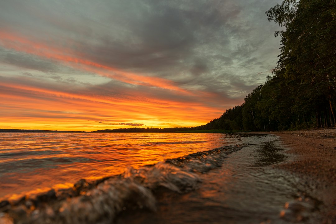 Wild shoreline glowing orange at sunset