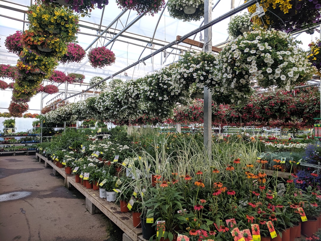 Greenhouse aisles filled with hanging baskets and potted tropical plants