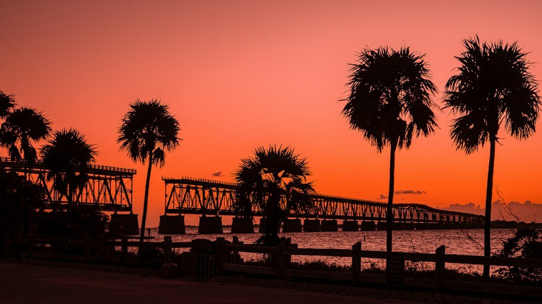 Florida sunset with palm trees and bridge over water