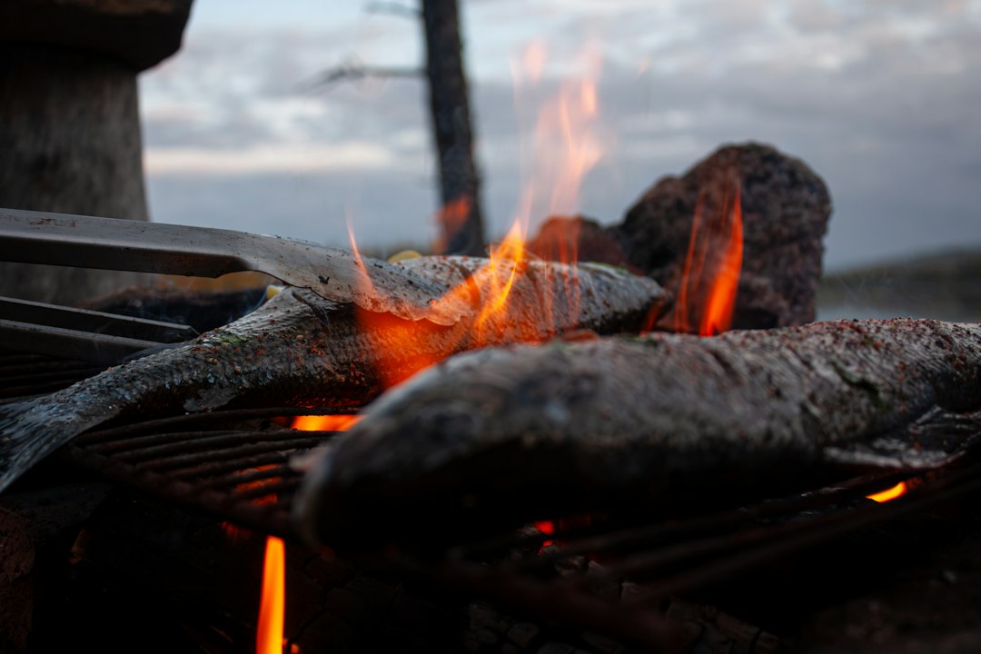 Whole whitefish cooking over an open wood fire, the Door County fish boil tradition