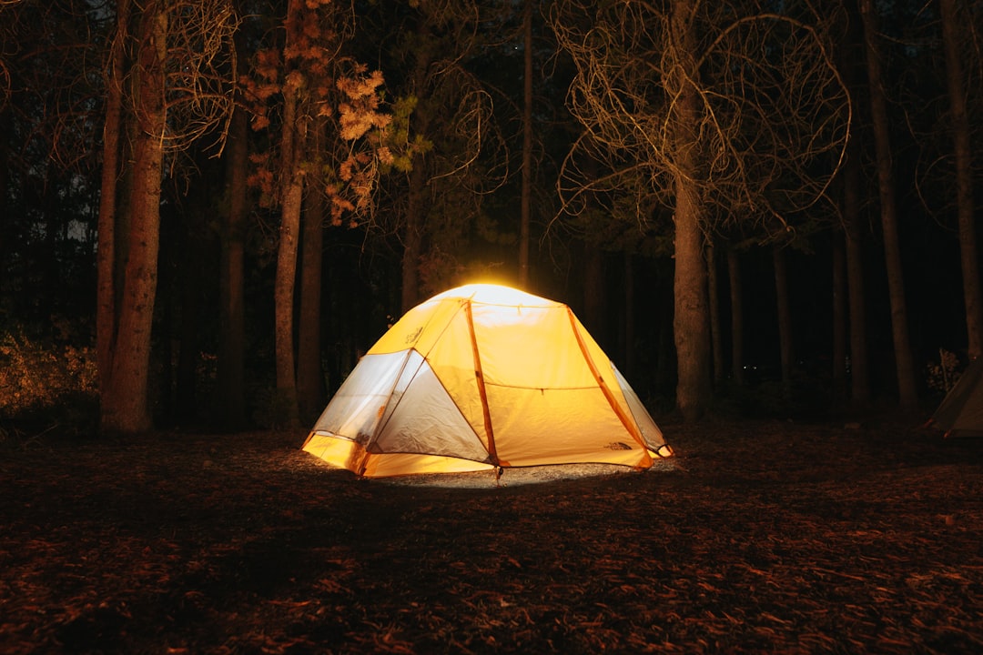 Glowing tent lit from within at a nighttime forest campsite