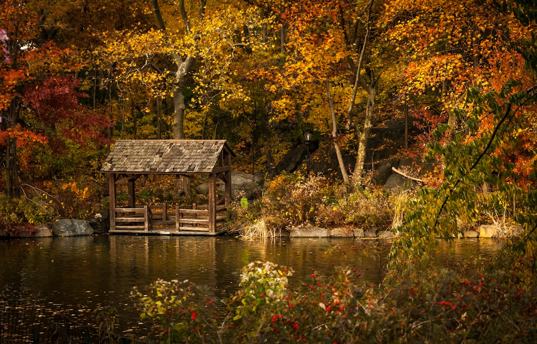 Covered wooden bridge beside a pond ringed with autumn trees