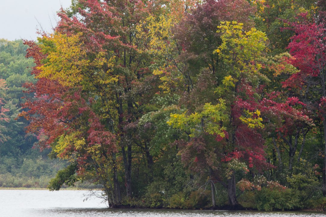 Red, orange, and yellow fall trees lining a quiet Great Lakes shoreline