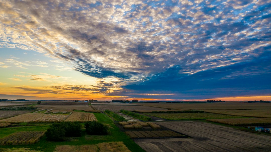 Wide prairie farm landscape at sunset with harvested fields