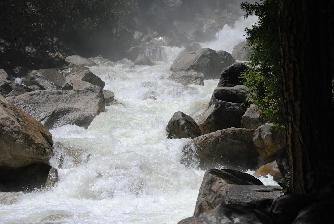 Whitewater rapids rushing between boulders in a forested gorge