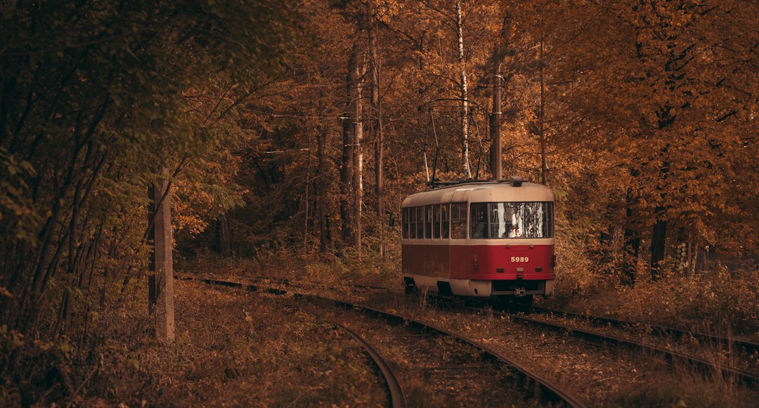 Cyclist riding a leaf-covered rail trail through autumn forest