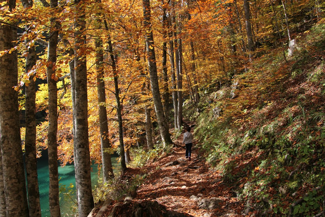 Hiker walking a leaf-covered trail beside a river in peak fall color