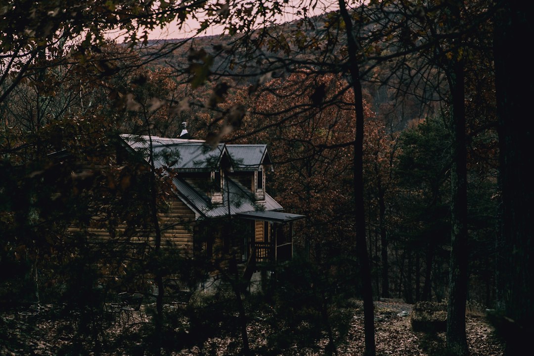 A wooden log cabin set among autumn trees