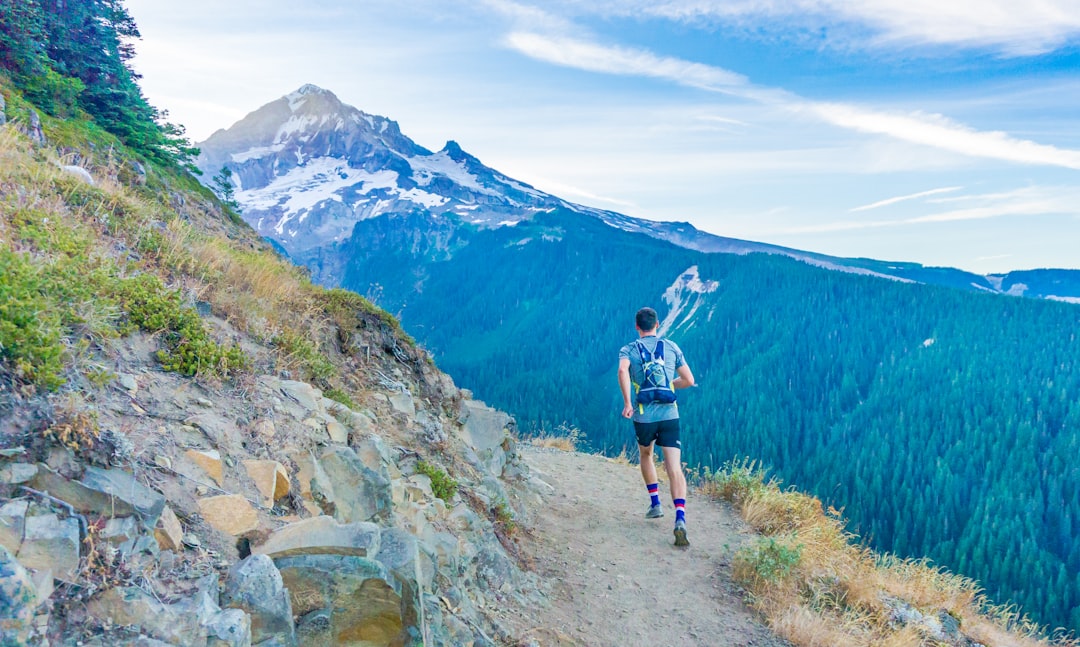 Hiker walking down a dirt mountain trail with forests and peaks ahead