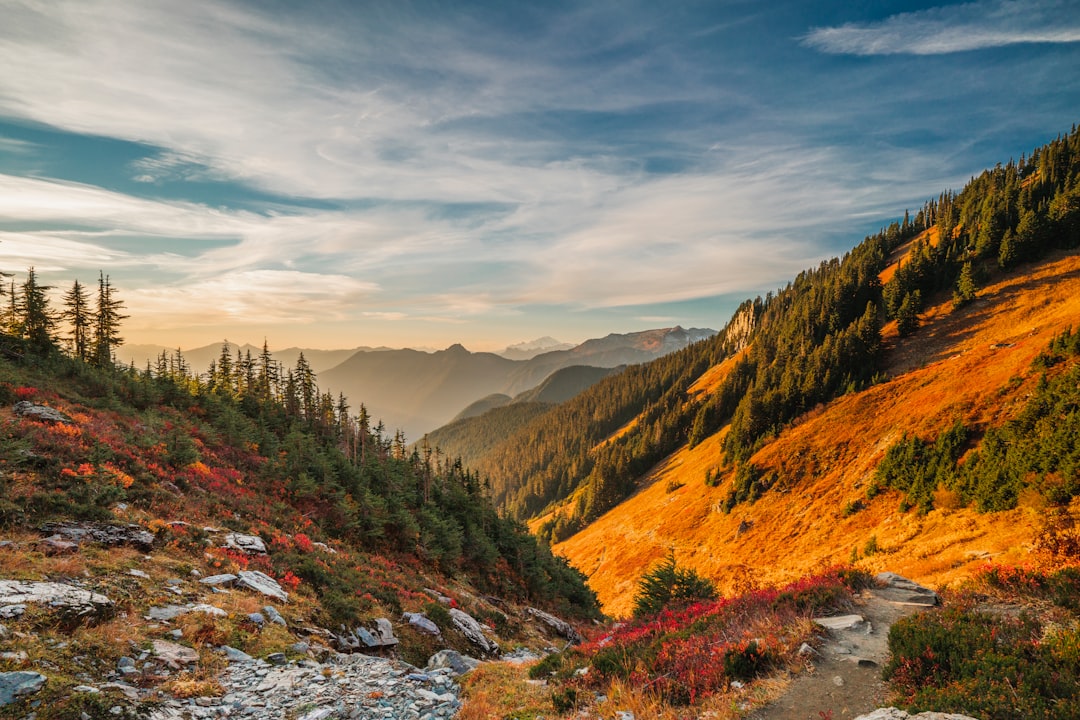 Fall foliage mountain trail with valley view