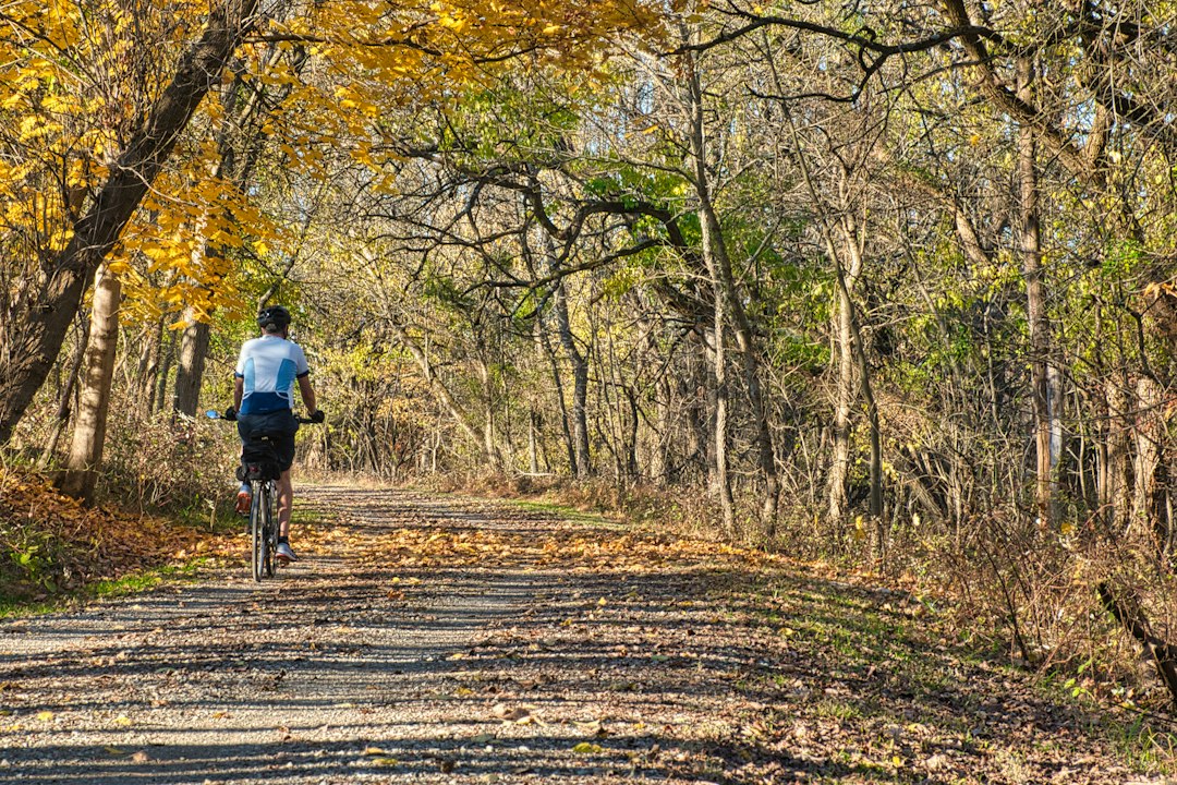 Vintage train traveling through autumn woodland