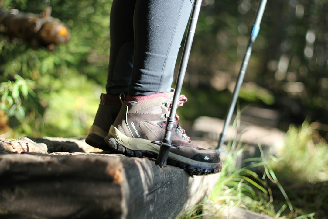 Hiking boots and trekking poles resting on a fallen log