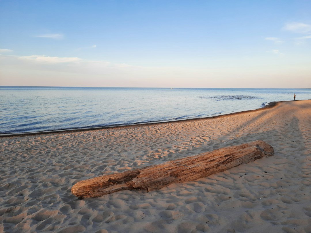 Driftwood log resting on a quiet beach at sunset