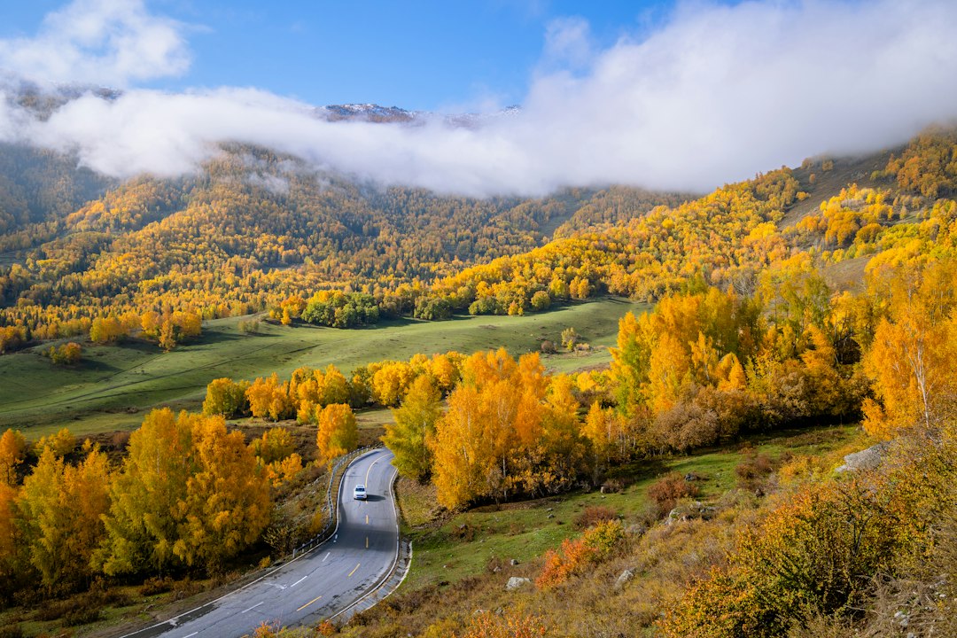 Car winding along a golden autumn road