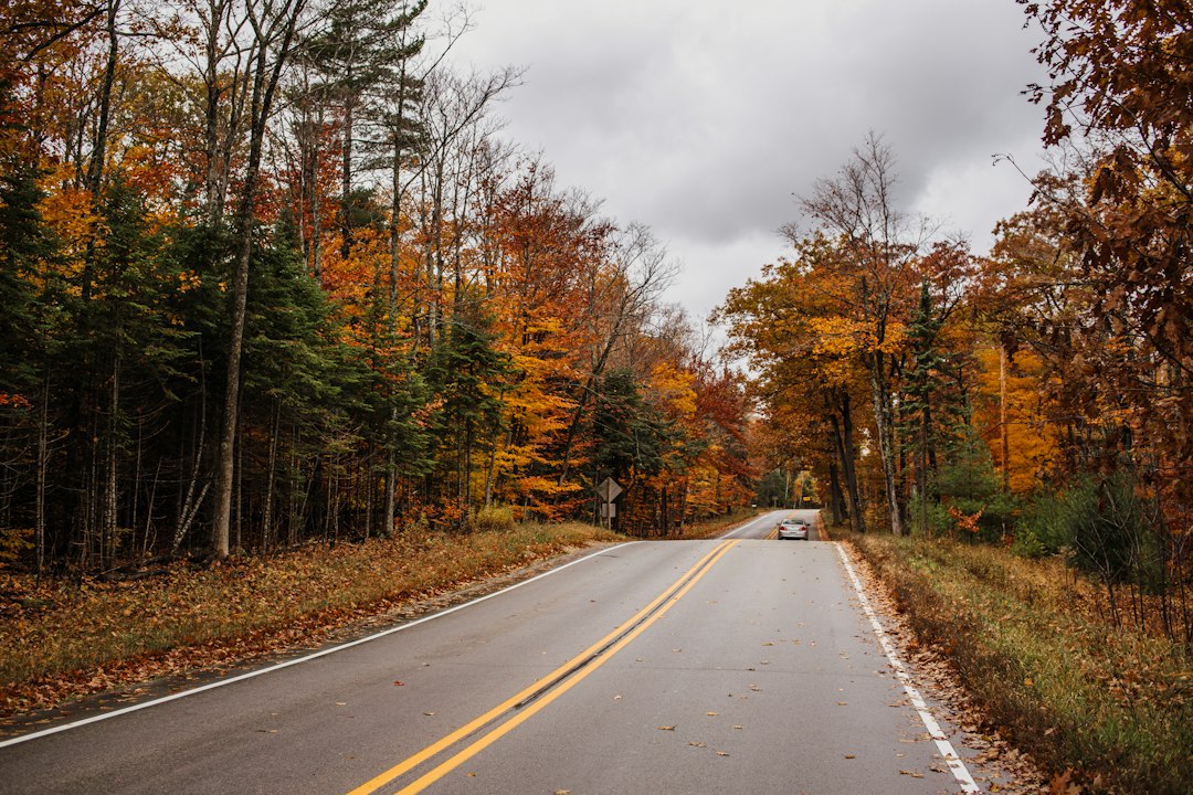 Two-lane road tunneling through orange and yellow October maples on the Door Peninsula