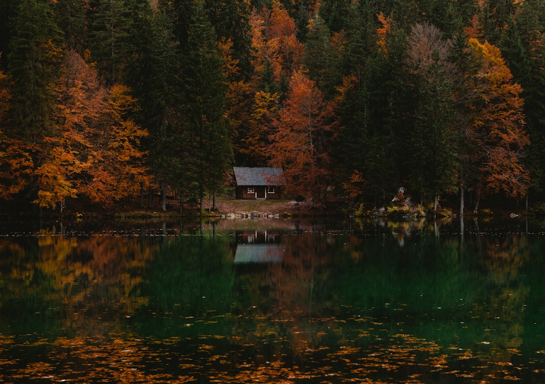Cabin beside a still lake reflecting brilliant orange autumn trees