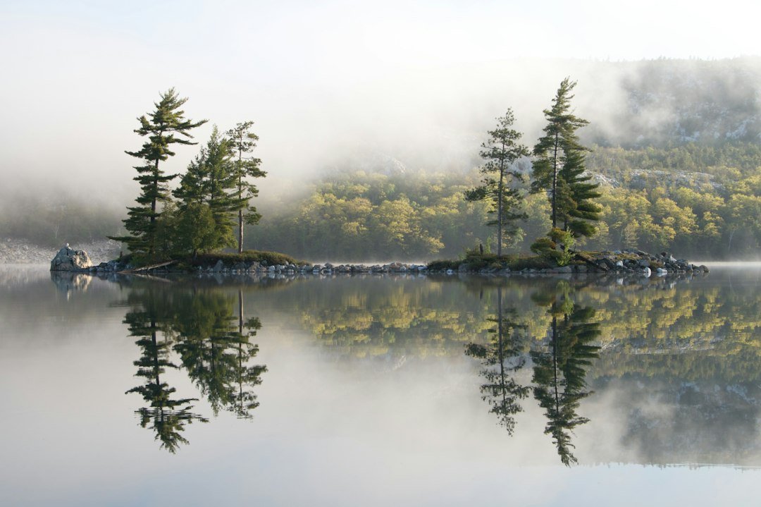Misty morning light over a calm lake and pine-covered islands
