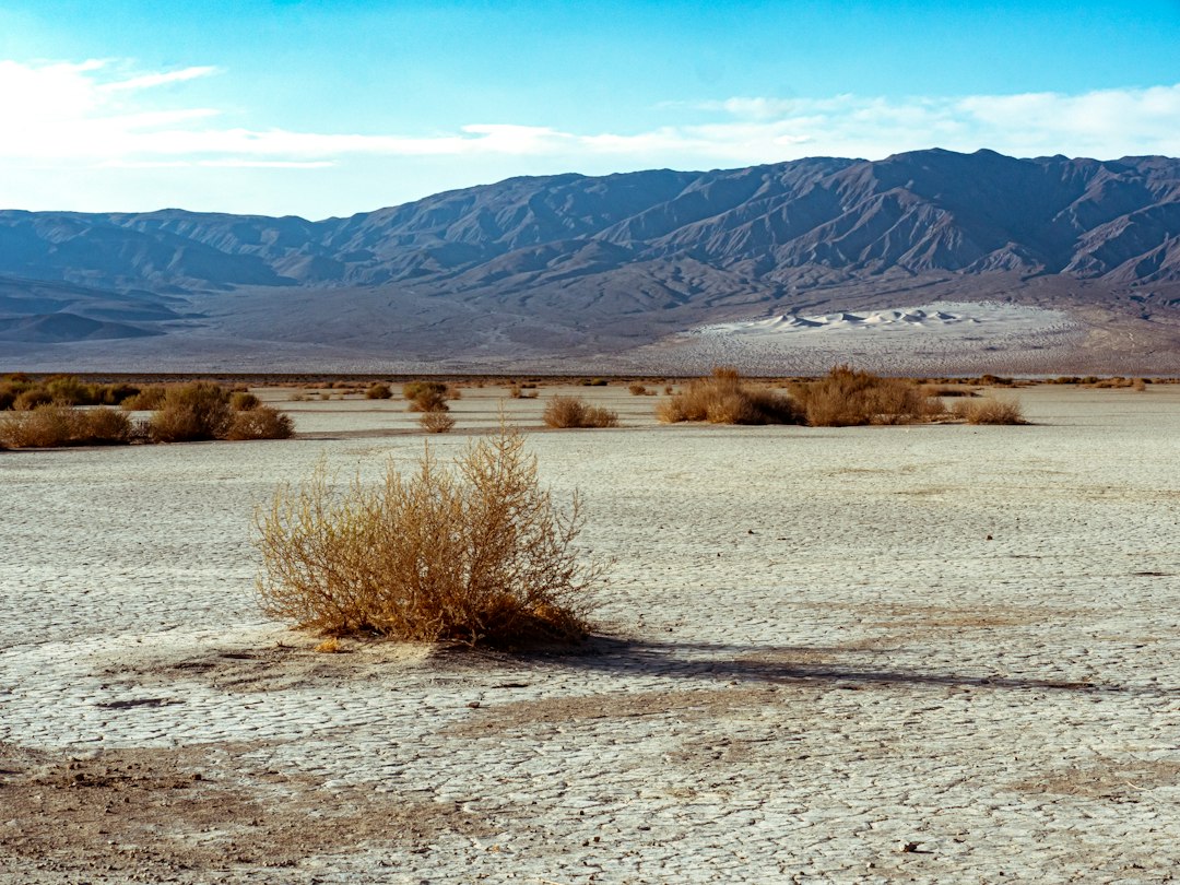 Golden dunes and mountains in Death Valley country along the ghost town loop