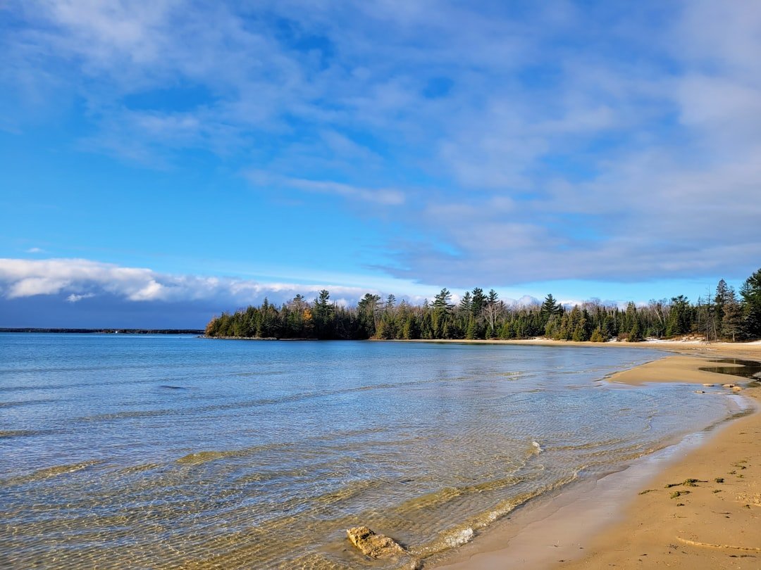 Calm sandy shoreline with shallow water