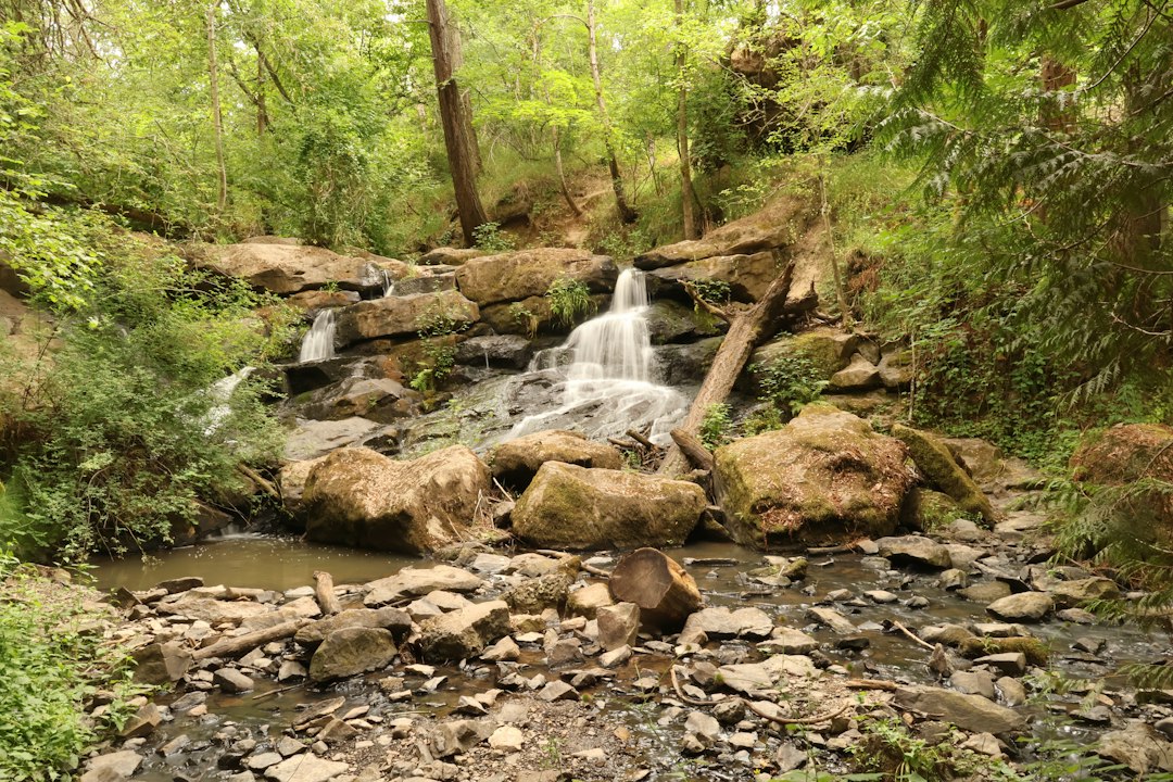 A small waterfall tumbling over mossy rocks in a woodland gorge