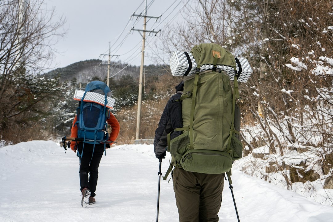 Backpackers walking a snowy road toward the trailhead